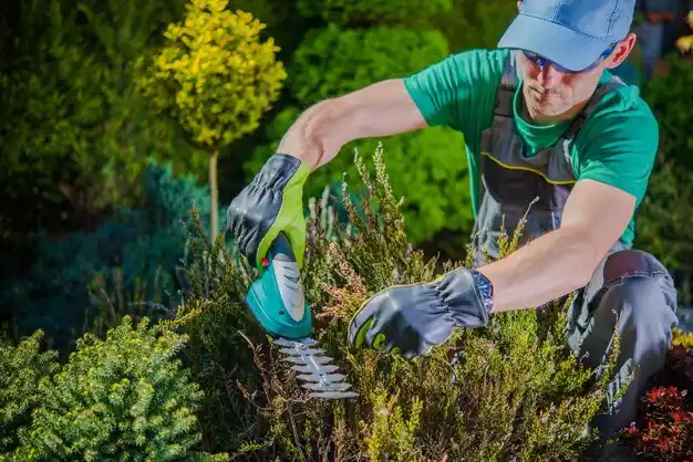 landscaping services Port Washington